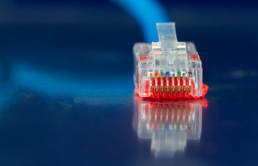 Network Ethernet Cable isolated on a blue background close-up