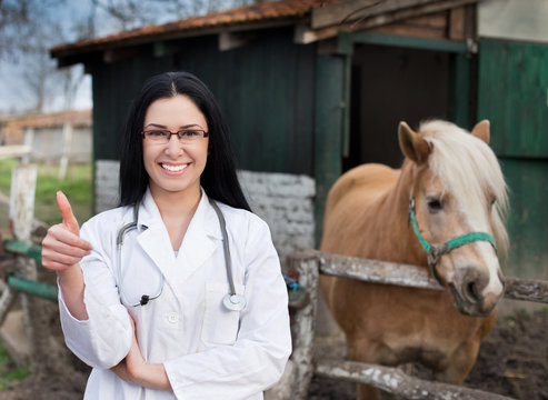 Veterinarian with horse