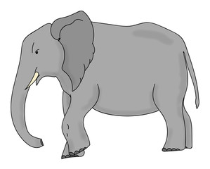 Illustration on an Asian elephant