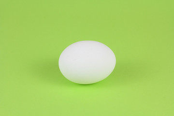 chicken egg close up in 