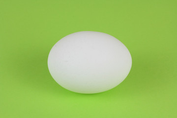 white chicken egg close up in studio