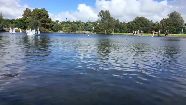 Time lapse of remote controlled sailing wooden yachts race in a pond.The racing is governed by the same Racing Rules of Sailing that are used for full-sized crewed sailing boats