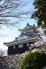 Obraz premium 桜と日本の城 浜松城 Cherry blossom and Japanese castle in Hamamatsu