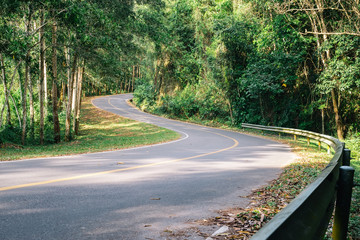 Obraz premium winding road in forest.