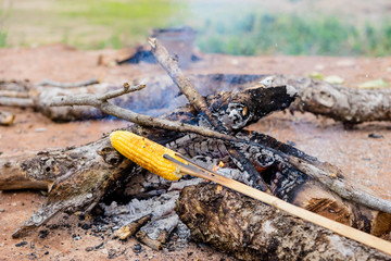 grilling Corn