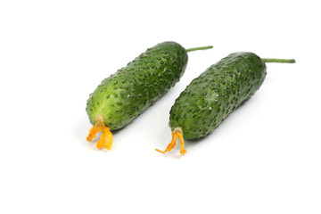 two green cucumber on white background