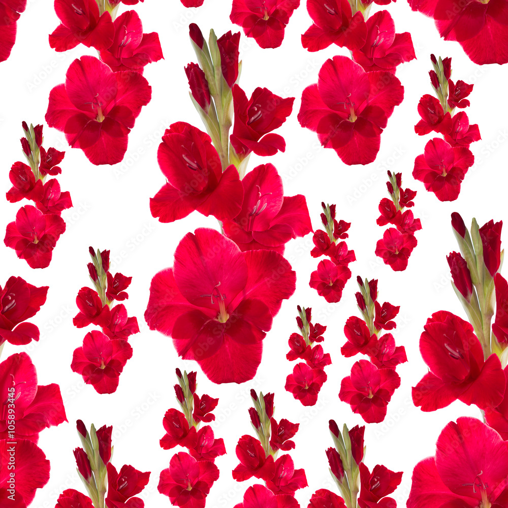 Canvas Prints seamless pattern red gladiolus