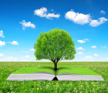 Book of nature with tree on meadow.