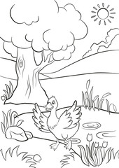 Coloring pages. Cute duck runs from the pond. There are tree, flowers and reeds around. Summer.