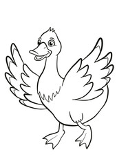 Coloring pages. Cute duck runs and smiles. It waves her wings.