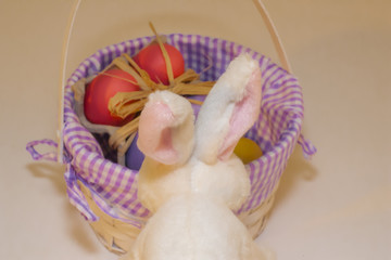 Easter Eggs Basket With Bunny in Front