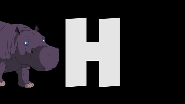 Letter H and Hippo (foreground)
Animated animal alphabet. HD footage with alpha channel. Animal in a foreground of letter.