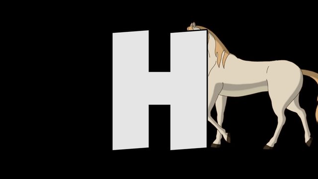 Letter H and Horse (background)
Animated animal alphabet. HD footage with alpha channel. Animal in a background of letter.