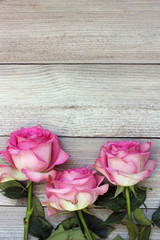 Three pink roses on a wooden platform, top view.