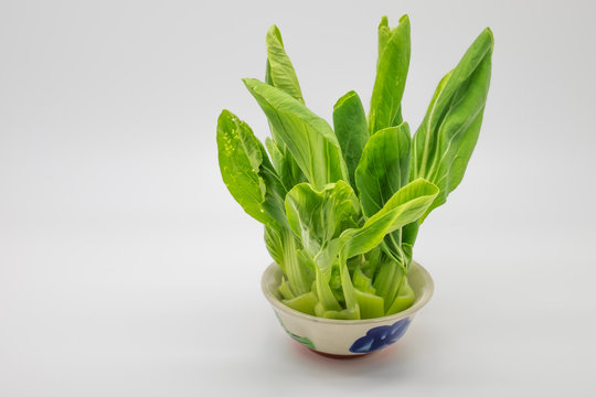 Vegetable in cup