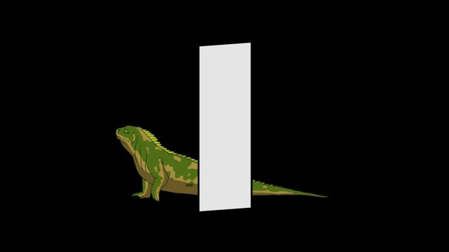Letter I and Iguana (background)
Animated animal alphabet. HD footage with alpha channel. Animal in a background of letter.