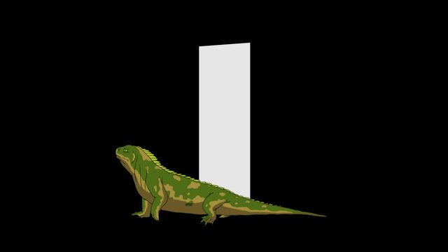Letter I and Iguana (background)
Animated animal alphabet. HD footage with alpha channel. Animal in a background of letter.