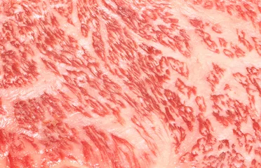  Fresh raw wagyu beef steak close up © takadahirohito