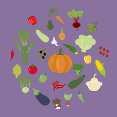 Vegetable Icon Set