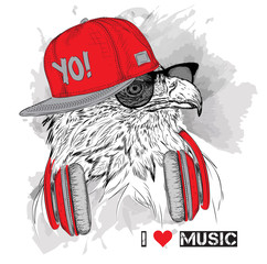 The image of the eagle in the glasses and headphones. Vector illustration. - 105902607