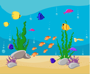 Ocean Cartoon underwater world with fish, plants, island Aquarium Fish set