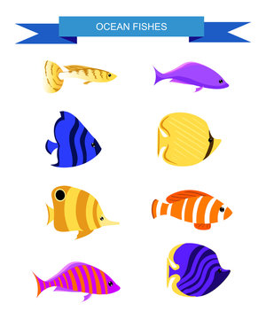 Ocean Cartoon underwater world with fish, plants, island Aquarium Fish set