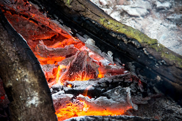 Closeup wood bonfire.