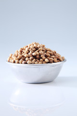 coriander