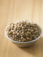 coriander