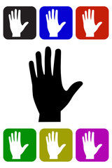 Palm Icon