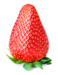 Red berry strawberry isolated on white background