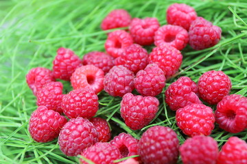 Scattering of the fresh-picked forest raspberries (Rubus idaeus) lying on the horsetail stems