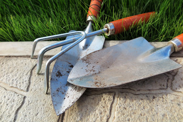 Garden major and minor hand trowels and a flower rake on the tile at lawn in the garden