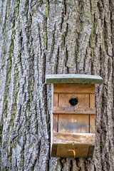 Nistkasten an einem Baum