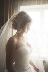 Fototapeta na wymiar Portrait of beautiful bride with fashion veil at wedding morning. Wedding dress.