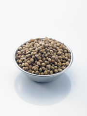 coriander