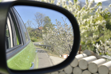 Road with cherry trees in bloom reflected in the rearview of a car in a spring day