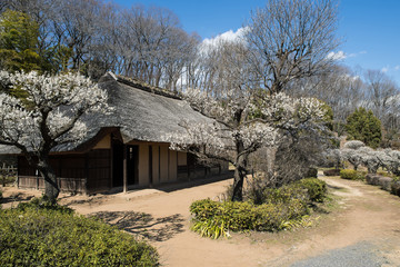 薬師家公園の旧永井家住宅