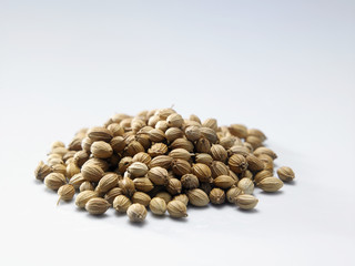 coriander seed