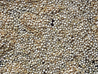 Quinoa im Wasserbad