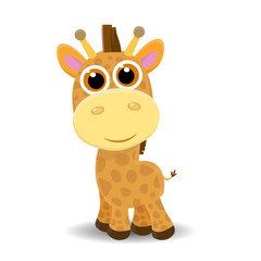 Cute little giraffe isolated on white background. Vector illustration.