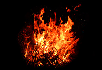 Fototapeta na wymiar red hot blazing fire on black background