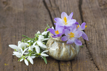  crocus and snowdrops on the wooden table