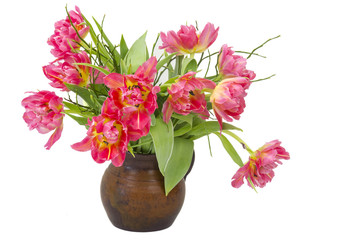 red tulips in a vase