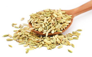 Fennel seeds in a wooden spoon
