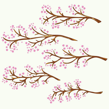 Set of hand-drawn and painted branches with flowers. 