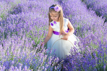 little girl in the lavender field