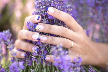 Fototapeta premium lavender in the hands