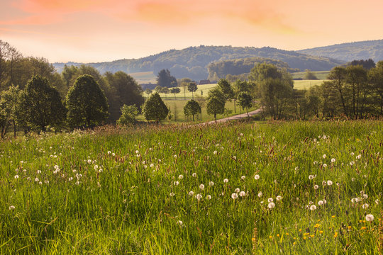 h&uuml;gelige Landschaft im Saarland, Morgenstimmung
