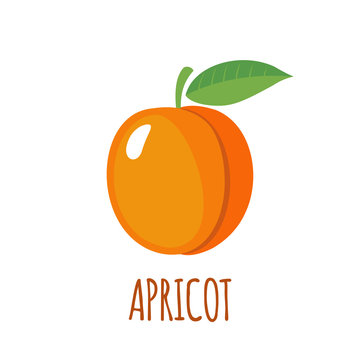 Apricot icon in flat style on white background